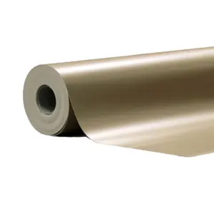 Sunstill - Sundance Confidance + - Fawn